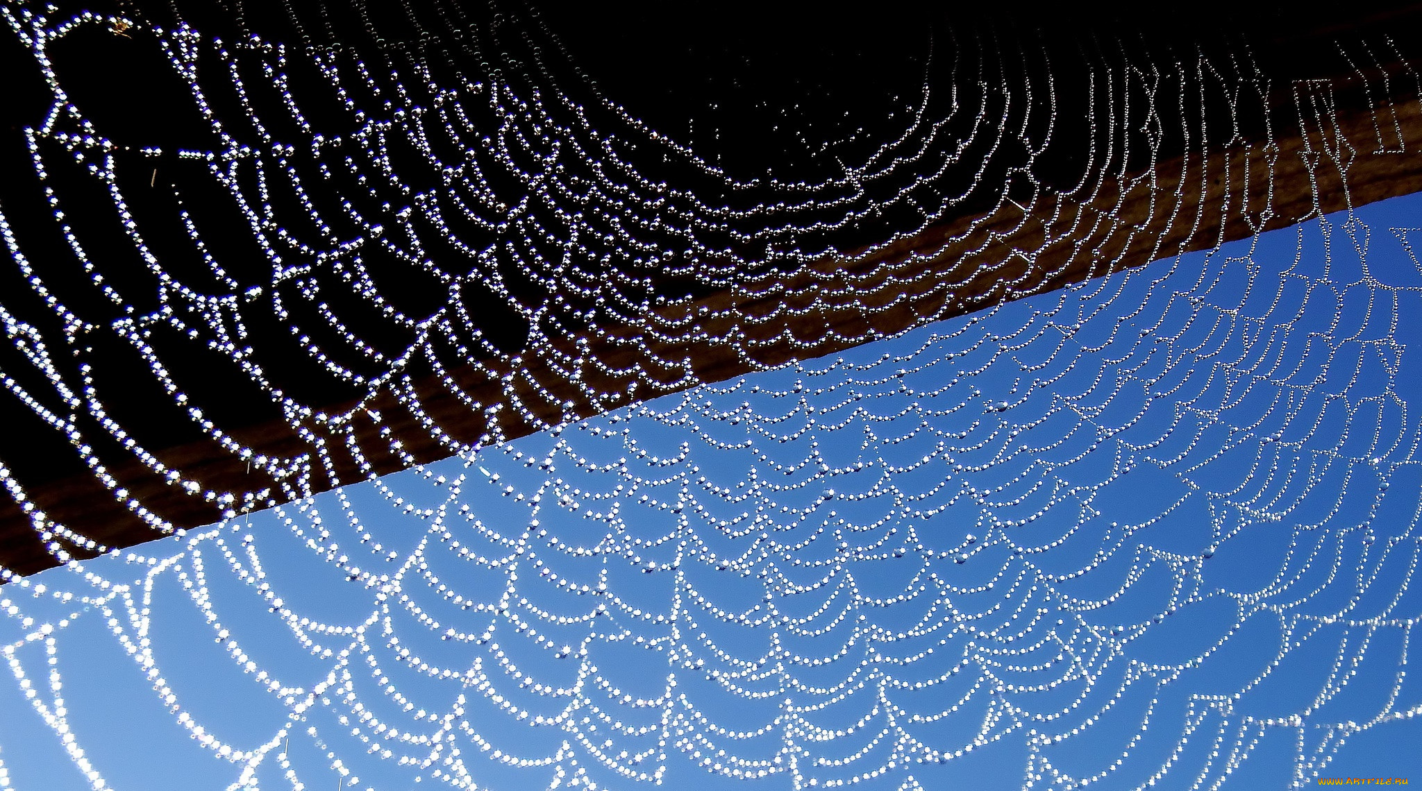 , , , , 
